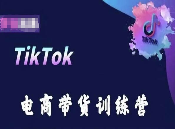 TikTok电商带货训练营，跟随时代潮流，跨境掘金 - 猫抓网赚-猫抓网赚