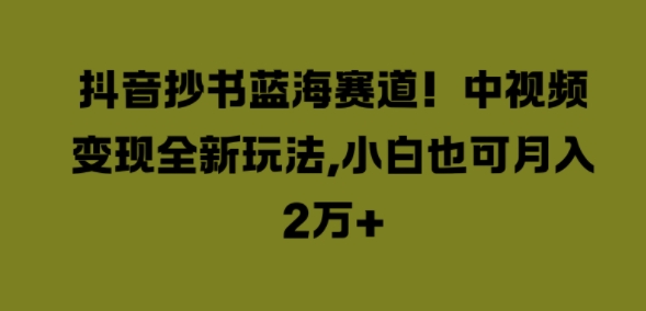 抖音抄书蓝海赛道，中视频变现全新玩法，小白也可月入2W+ - 猫抓网赚-猫抓网赚