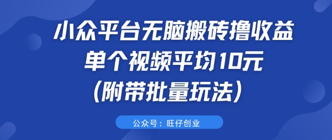 小众平台无脑搬砖撸收益 单个视频平均10元 (附带批量玩法) - 猫抓网赚-猫抓网赚