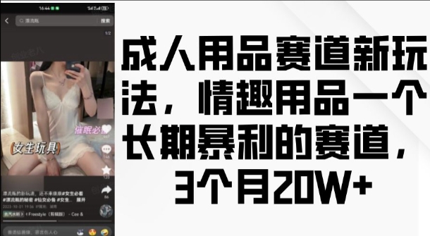 成人用品赛道新玩法，情趣用品一个长期暴利的赛道，3个月收益20个【揭秘】 - 猫抓网赚-猫抓网赚