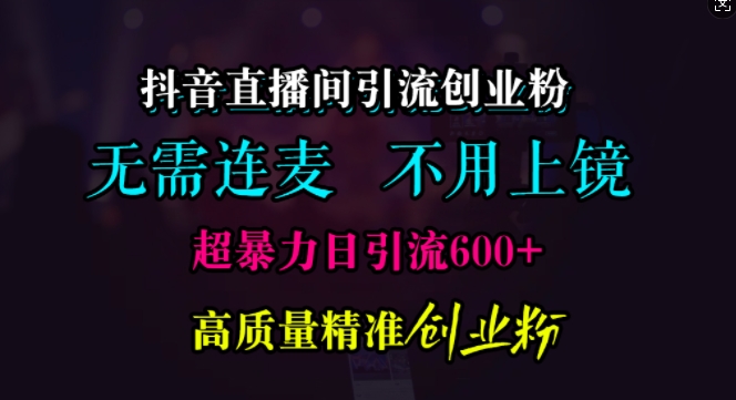 抖音直播间引流创业粉，无需连麦、无需上镜，超暴力日引流600+高质量精准创业粉【揭秘】 - 猫抓网赚-猫抓网赚