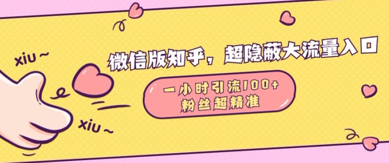 微信版知乎，超隐蔽流量入口1小时引流100人，粉丝质量超高【揭秘】 - 猫抓网赚-猫抓网赚