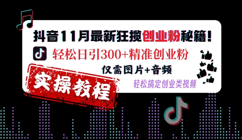 抖音11月最新狂揽创业粉秘籍，轻松日引300+精准创业粉，仅需图片+音频，轻松搞定创业类视频 - 猫抓网赚-猫抓网赚