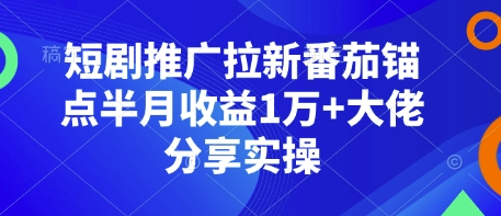 短剧推广拉新番茄锚点半月收益1万+大佬分享实操 - 猫抓网赚-猫抓网赚